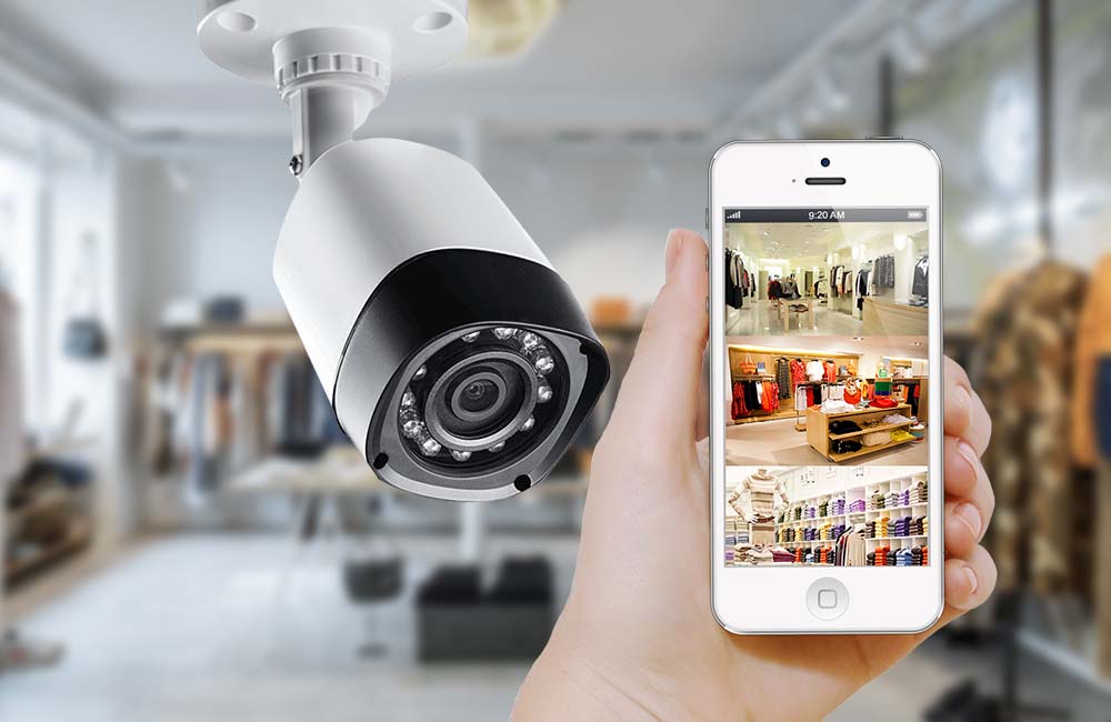 Security system for a business